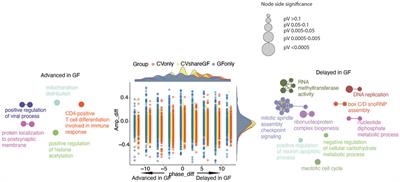 A microbiota-epigenetic circuit controls systematic circadian programs in the gut epithelium